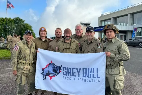 Grey Bull Rescue- Normandy- D-Day