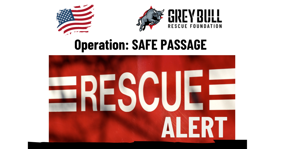 Grey Bull Rescue Launches Operation: SAFE PASSAGE to Rescue Americans and Allies in Lebanon and Surrounding Regions